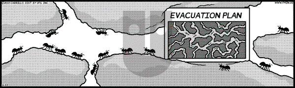 F Minus on Saturday March 13, 2010 Comic Strip