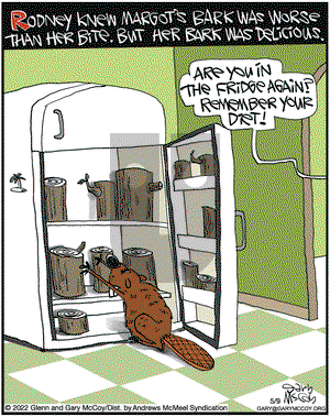 The Flying McCoys - Monday May 9, 2022 Comic Strip
