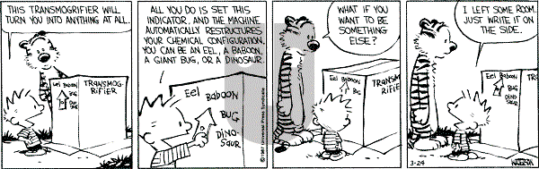 Calvin and Hobbes - Tuesday March 24, 1987 Comic Strip