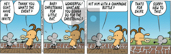 Pearls Before Swine on Friday August 1, 2014 Comic Strip