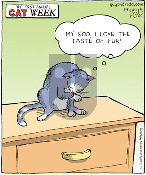 Brevity on Wednesday September 9, 2009 Comic Strip