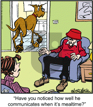 Marmaduke on Wednesday December 19, 2012 Comic Strip