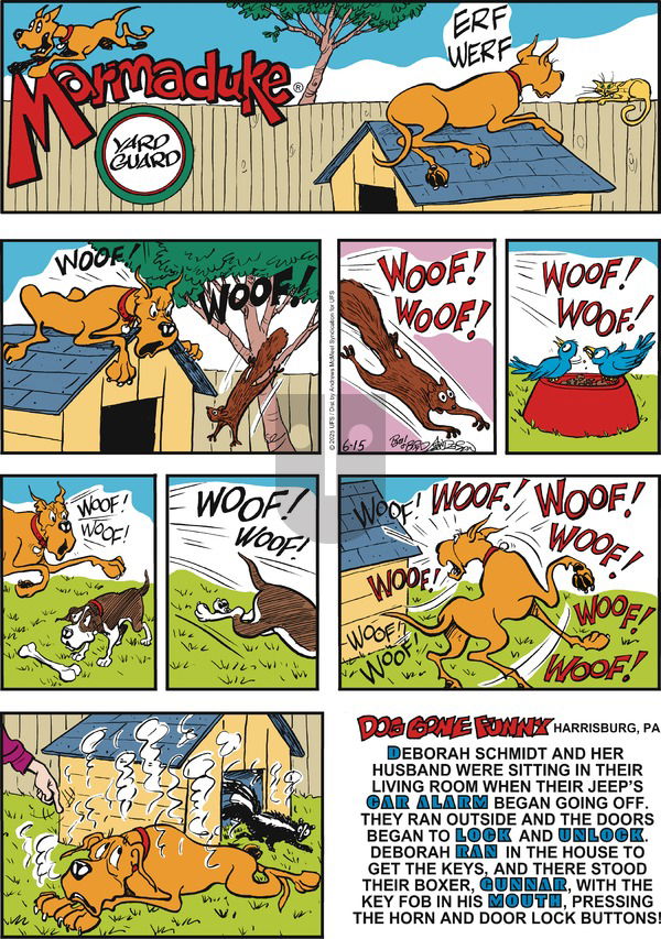 Marmaduke on Sunday June 15, 2025 Comic Strip