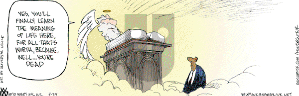 Non Sequitur on Saturday April 24, 2010 Comic Strip