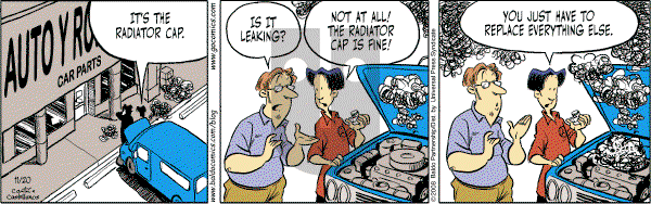 Baldo on Thursday November 20, 2008 Comic Strip