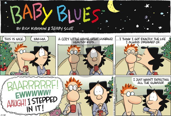 Baby Blues on Sunday December 20, 2020 Comic Strip