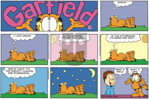 Garfield on Sunday June 29, 2003 Comic Strip