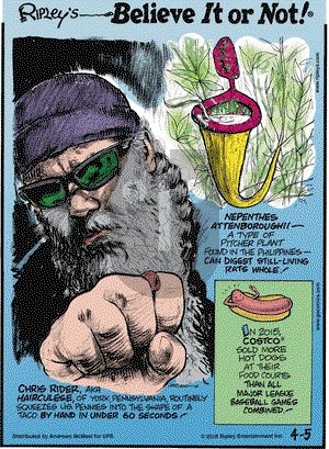 Ripley's Believe It or Not on Thursday April 5, 2018 Comic Strip