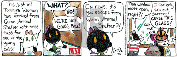 Breaking Cat News - Thursday November 10, 2022 Comic Strip