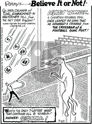 Ripley's Believe It or Not on Saturday July 10, 1999 Comic Strip