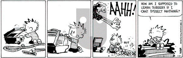Calvin and Hobbes on Friday July 27, 1990 Comic Strip