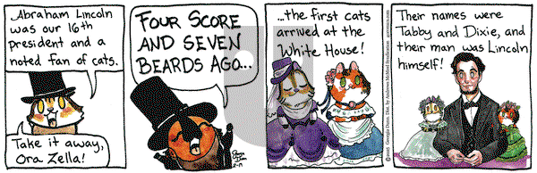 Breaking Cat News on Wednesday February 19, 2025 Comic Strip