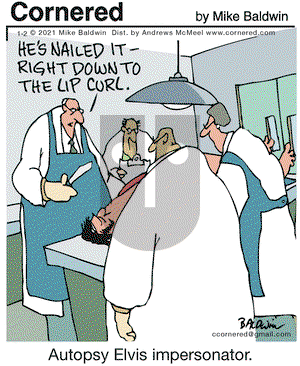 Cornered on Saturday January 2, 2021 Comic Strip