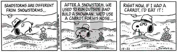 Peanuts - Saturday December 22, 1990 Comic Strip