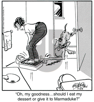 Marmaduke on Tuesday November 23, 1999 Comic Strip