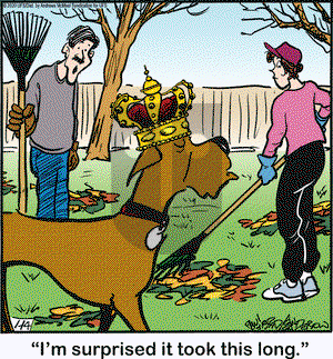 Marmaduke on Tuesday January 14, 2020 Comic Strip