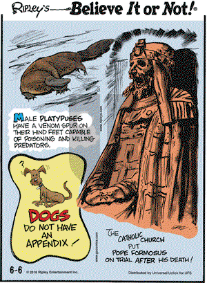 Ripley's Believe It or Not on Monday June 6, 2016 Comic Strip