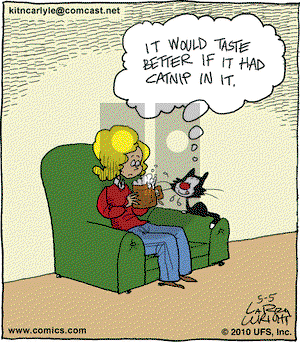 Kit 'N' Carlyle on Wednesday May 5, 2010 Comic Strip