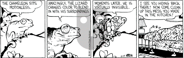 Calvin and Hobbes - Tuesday June 23, 1987 Comic Strip
