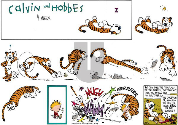 Calvin and Hobbes on Sunday June 11, 1989 Comic Strip