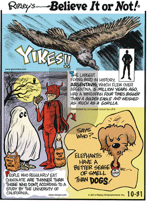 Ripley's Believe It or Not on Friday October 31, 2014 Comic Strip