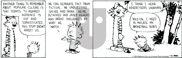 Calvin and Hobbes - Wednesday July 26, 1995 Comic Strip