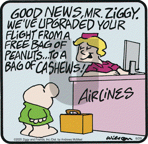 Ziggy on Saturday August 29, 2020 Comic Strip
