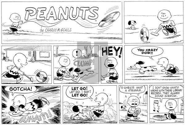 Peanuts on Sunday July 25, 1954 Comic Strip