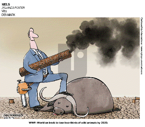 ViewsLatinAmerica on Friday October 28, 2016 Comic Strip