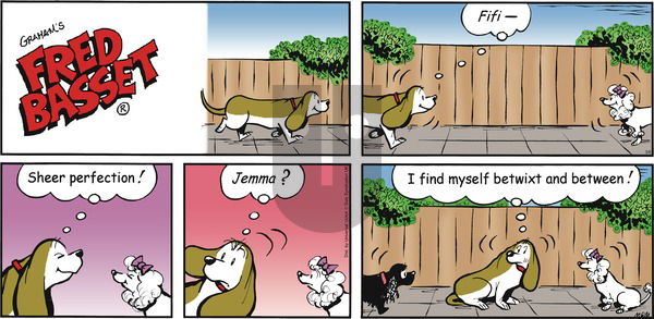 Fred Basset on Sunday May 8, 2016 Comic Strip