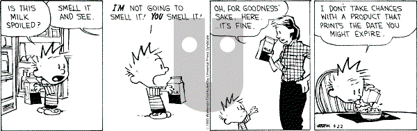 Calvin and Hobbes - Thursday April 22, 1993 Comic Strip