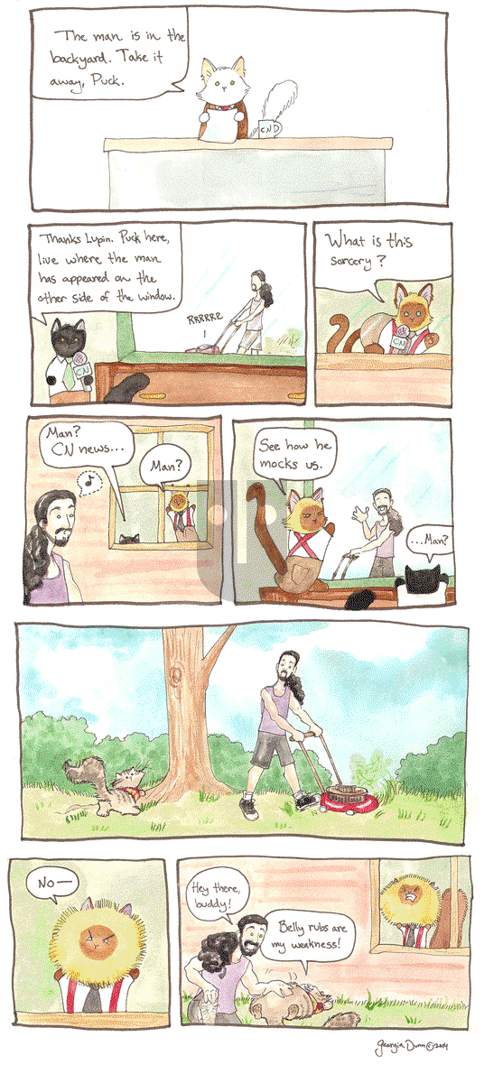 Breaking Cat News on Thursday January 22, 2015 Comic Strip