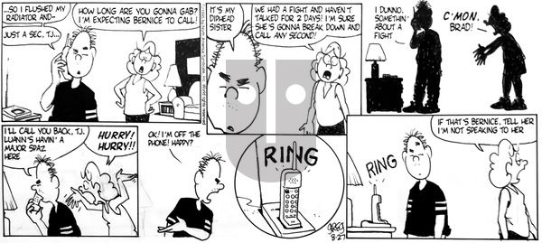 Luann - Sunday August 27, 1995 Comic Strip