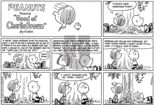 Peanuts on Sunday November 28, 1971 Comic Strip