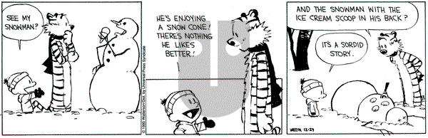 Calvin and Hobbes on Friday December 29, 1995 Comic Strip