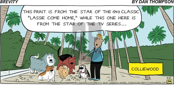 Brevity on Sunday July 2, 2017 Comic Strip