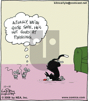 Kit 'N' Carlyle on Tuesday October 14, 2008 Comic Strip