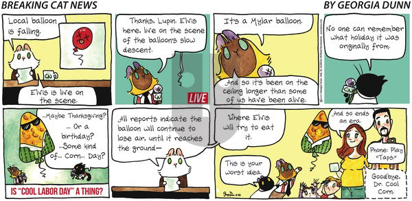 Breaking Cat News on Sunday November 10, 2019 Comic Strip