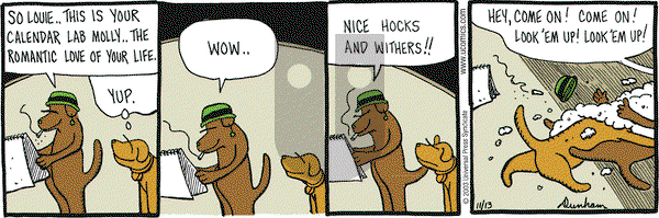 Overboard on Thursday November 13, 2003 Comic Strip