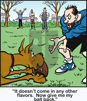 Marmaduke on Wednesday February 19, 2020 Comic Strip
