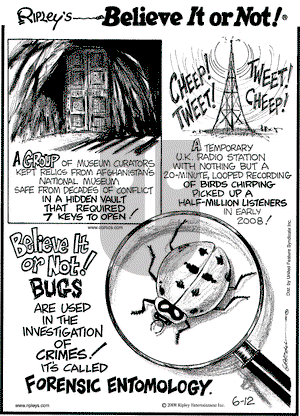 Ripley's Believe It or Not on Thursday June 12, 2008 Comic Strip