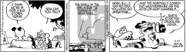 Over the Hedge on Monday July 21, 1997 Comic Strip