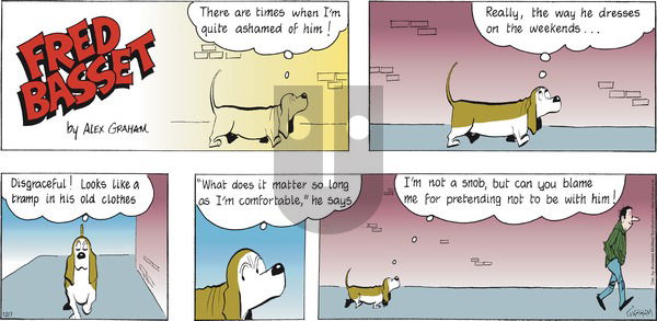 Fred Basset on Sunday December 7, 2025 Comic Strip