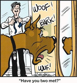 Marmaduke on Monday November 25, 2019 Comic Strip