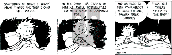 Calvin and Hobbes - Thursday December 28, 1995 Comic Strip