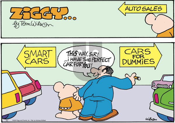 Ziggy on Sunday August 2, 2020 Comic Strip