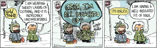 Wallace the Brave on Saturday February 22, 2020 Comic Strip