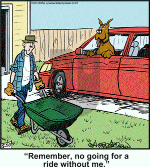 Marmaduke on Tuesday May 20, 2025 Comic Strip