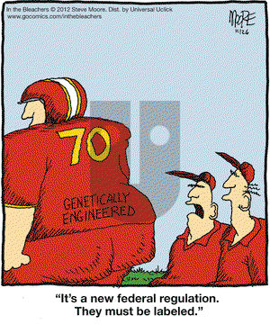 In the Bleachers on Monday November 26, 2012 Comic Strip