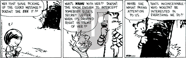 Calvin and Hobbes - Tuesday August 10, 1993 Comic Strip